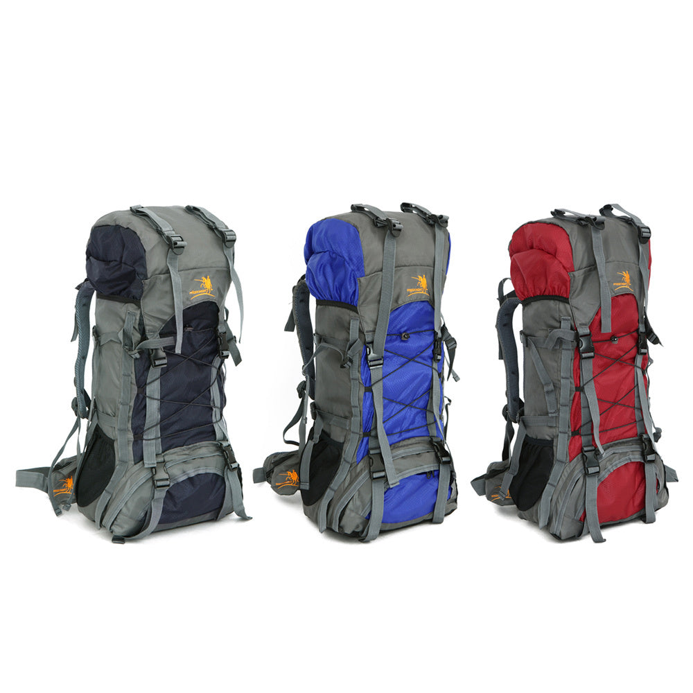 Outdoor 60L Travel Backpack